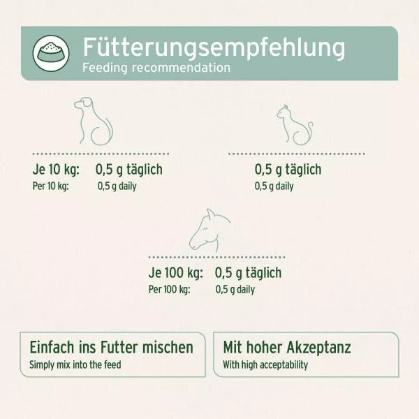 Grünlippmuschelpulver Grünlippmuschelpulver